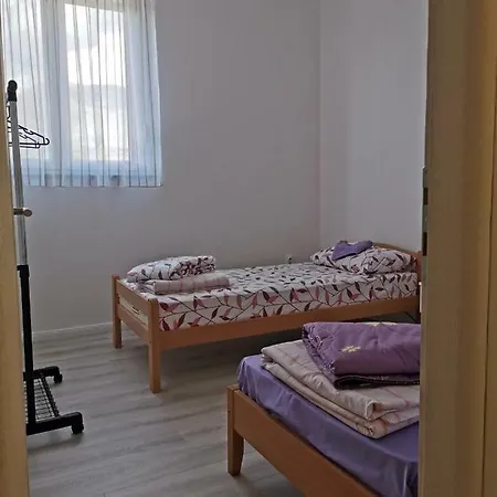 Niksin San Daire Trebin